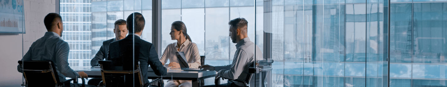 Company /LLP Management Services